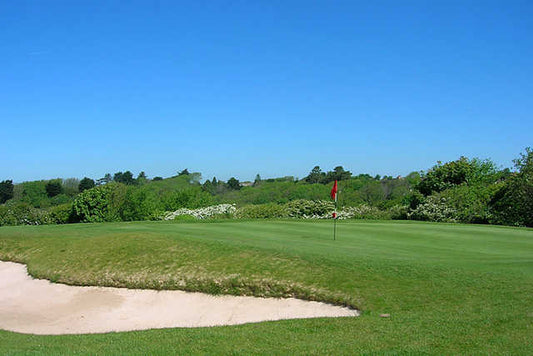 What is a greensome in golf